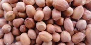 JSP-HSP-44 Peanut Kernels