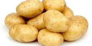 Kufri Pukhraj Potato