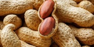 Phule Morna Peanut Kernels