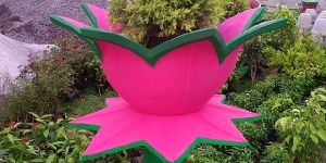 Cement Flower Pots