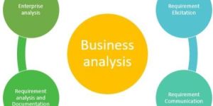 Business Analysis Services