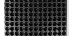 104 Cavity Seedling Agricultural Tray
