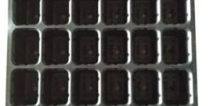 42 Hole Seedling Tray