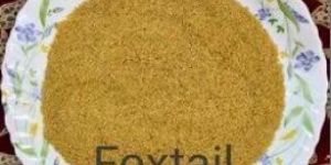 Foxtail Millets