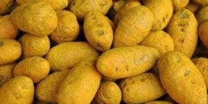 Single Polished Turmeric Bulb