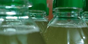 Pure Coconut Oil