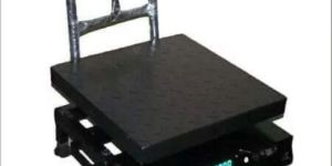 Portable Platform Scale