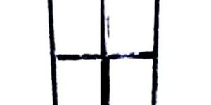 SS Platform Weighing Scale