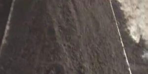 Bio Organic Fertilizer