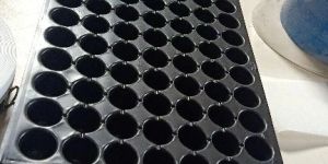 NURSERY TRAY Forming Machine