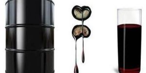 Cashew Nut Shell Oil