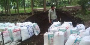 Organic Compost Fertilizer