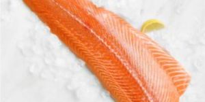 Salmon Fish