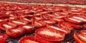 Sun Dried Tomatoes
