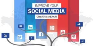 Social Media Marketing Service