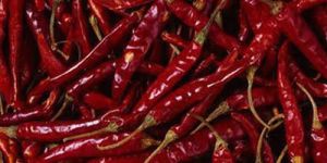 Dried Red Chili