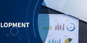 Web Development Services