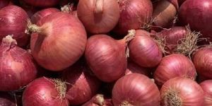 Onions