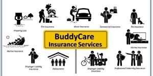 Car Insurance Service