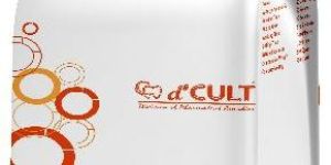 dcult rock - dental stone Type l V