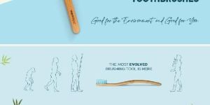 Organic Bamboo Toothbrush