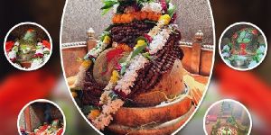 Rudrabhishek Puja Services