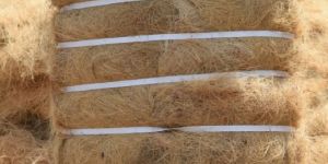 Coco Fiber
