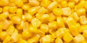 Frozen Sweet Corn