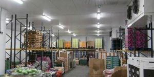 Vegetable Cold Storage Services