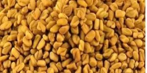 Bold Fenugreek Seeds