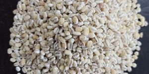 Pearl Barley