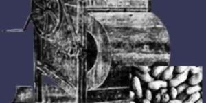 Groundnut Decorticator