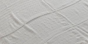 White Silver Zari Pure Georgette Handwoven Dupatta