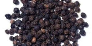 Black Pepper