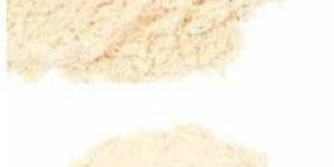 Oyster Mushroom Powder