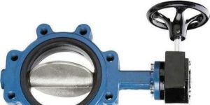 Butterfly Valve