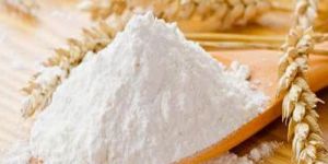 Refined Wheat Flour