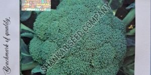 Brocolli Seeds