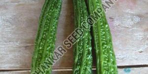 Long Bitter Gourd Seeds