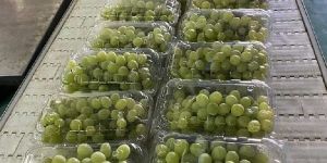Fresh Grapes