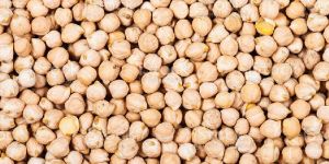White Chickpeas