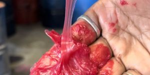 Red Gel Grease