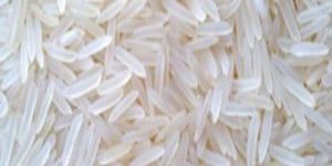 Basmati Rice