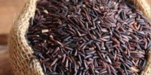 Natural Black Rice