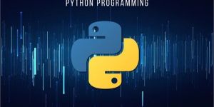 Python Training Institute in South Delhi
