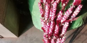 Pink Sola Flower Stick