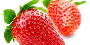 Fresh Strawberry