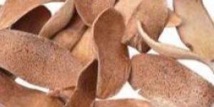 Dried Mahagony Flowers Potpourri