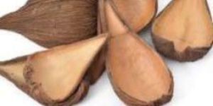 Dried Pradeep Pods