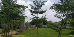 Farm House Development